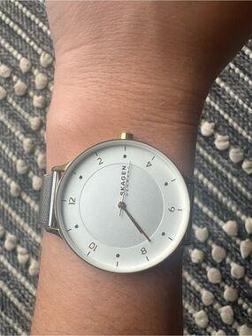 Skagen Silver Dial Watch with Silver Mesh Band